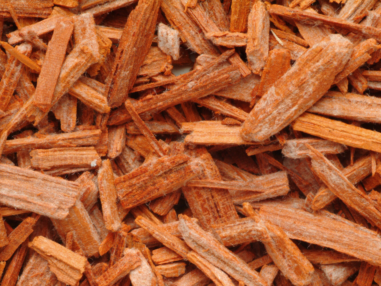 el sàndal i les seves propietats