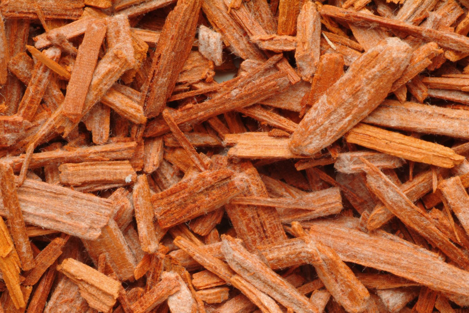 el sàndal i les seves propietats