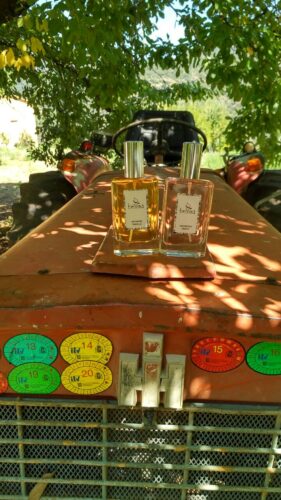 Quatre avantatges de perfumar-se cada dia